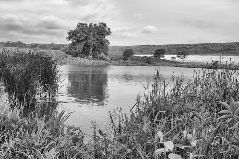 Beaver pond at Tuttle Creek.jpg