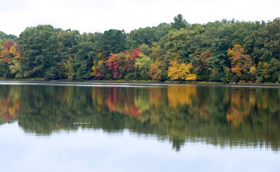 heard Pond Fall color