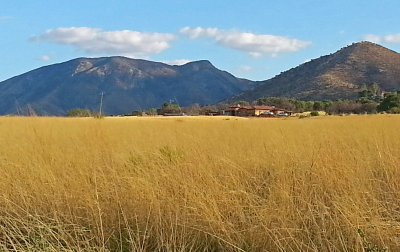 Sierra Vista Area