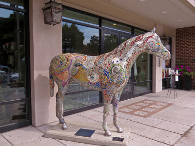 Decorated horses in town