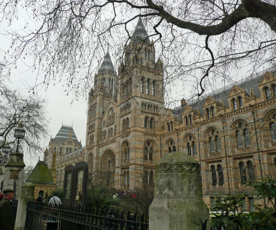 London-Natural History museum
