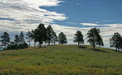 iron mountain drive-Scenery