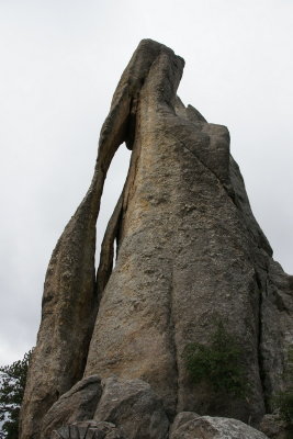 needles  The Needle