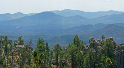 needles-130821-04194ed_edited-11.jpg