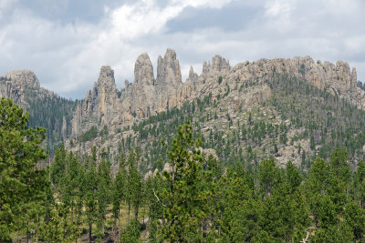 needles-130821-04206ed.jpg