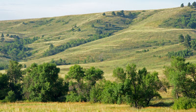 wildlife dr.-Rolling hills