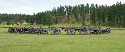 wildlife-wagons
