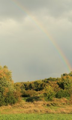 Gatineau Park