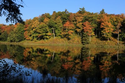 Gatineau Park