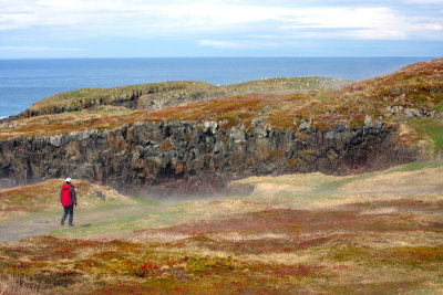 Approaching puffin island in Elliston