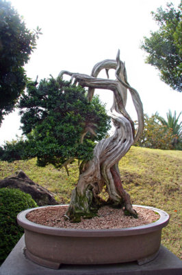 Spirit Garden
