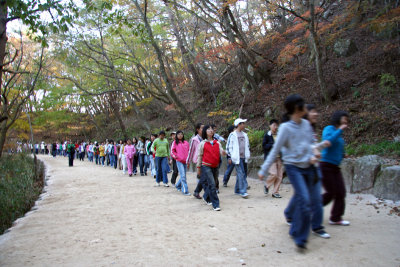 Class trip