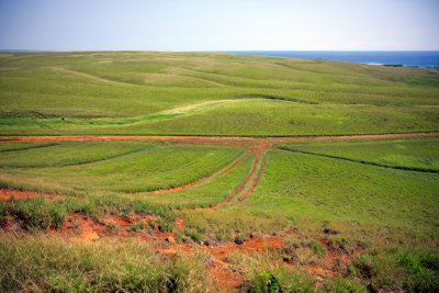 Off road terrain