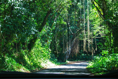 Tantalus Drive