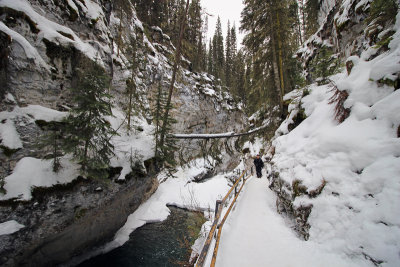 Johnston Canyon