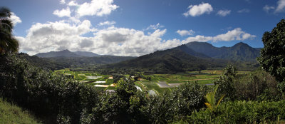 View from Hanalei Lookout
