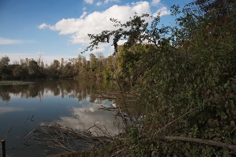 torrile  capanno della provincia