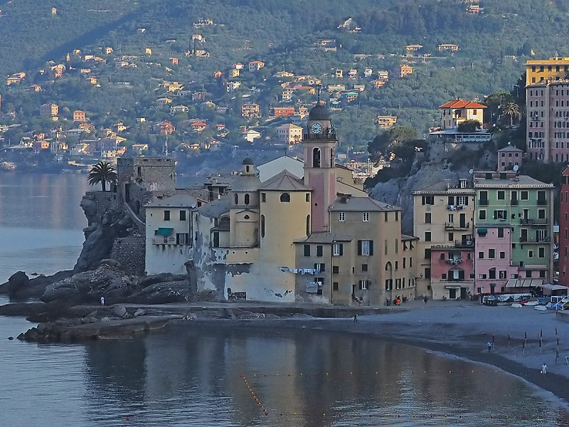 P6090012BIS.jpg