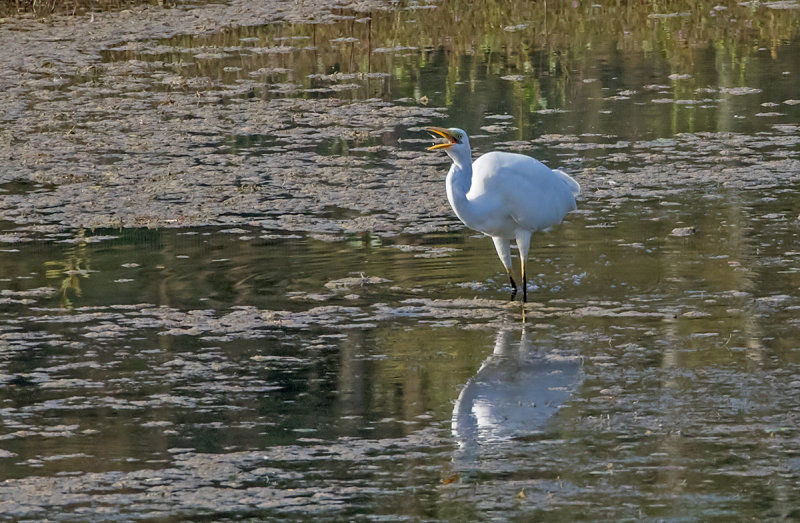 P9274425.jpg