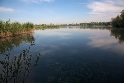 Torrile  Swaroski