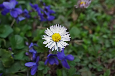 IMG_3786.jpg