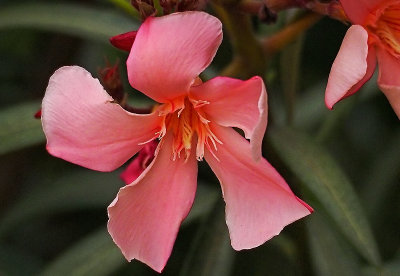 _5190004-(1).jpg