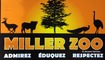 Miller Zoo, Frampton_IMGP1332.JPG