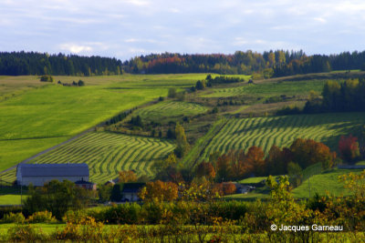 Saint-Joseph-de-Beauce_IGP6987.JPG