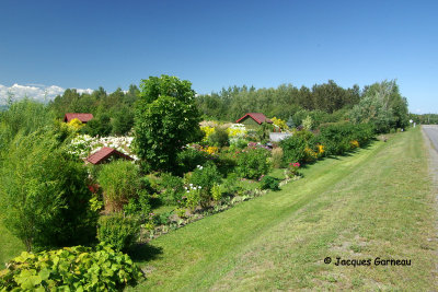 Jardin Au 4 Fleurie, Saint-Pascal (Kamouraska)_IMGP1978.JPG