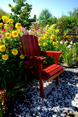 Jardin Au 4 Fleurie, Saint-Pascal (Kamouraska)_IMGP1982.JPG