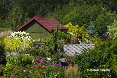 Jardin Au 4 Fleurie, Saint-Pascal (Kamouraska)_IGP8177.JPG