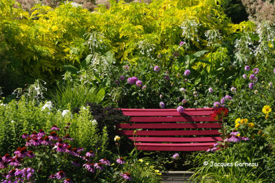 Jardin Au 4 Fleurie, Saint-Pascal (Kamouraska)_IGP8180.JPG