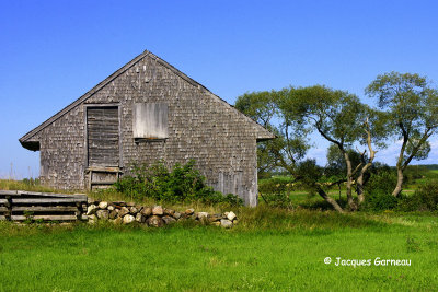 Saint-Germain (Kamouraska)_IGP8233.JPG