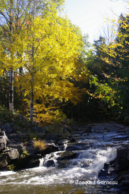 _IGP8506.JPG