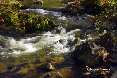 _IGP8545.JPG