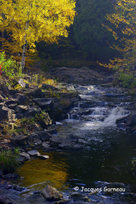 _IGP8548.JPG