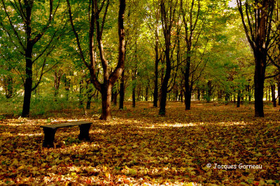 Automne 2015 - Rougemont et Mont-Saint-Hilaire