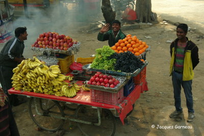 Rewari, Haryana (sud-ouest de Delhi)_IMGP4929.JPG