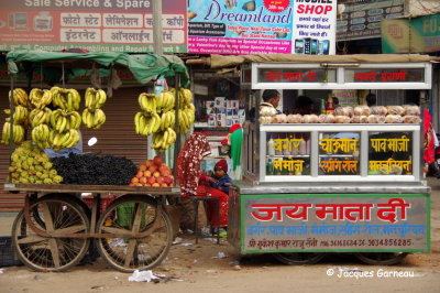 Narnaul, Haryana_IMGP4988.JPG