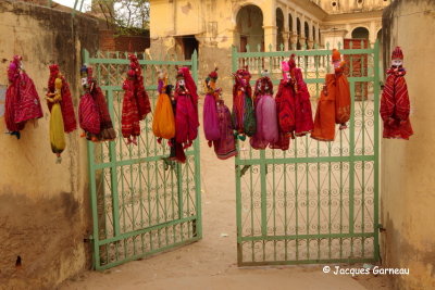 Mandawa, Rajasthan_IMGP5106.JPG