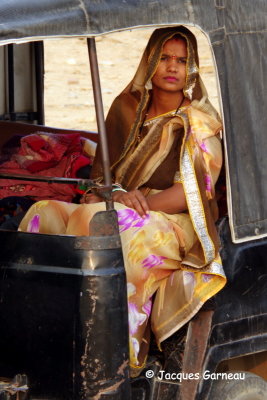 La passagre (site Bara Bagh, Jaisalmer, Rajasthan)_IMGP5631.JPG