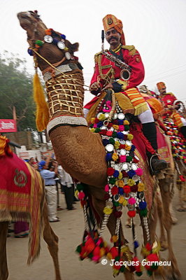 Festival du dsert (Desert Festival), Jaisalmer, Rajasthan_IMGP5694.JPG