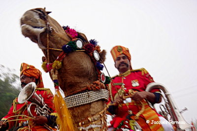 Festival du dsert (Desert Festival), Jaisalmer, Rajasthan_IMGP5695.JPG