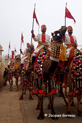 Festival du dsert (Desert Festival), Jaisalmer, Rajasthan_IMGP5710.JPG