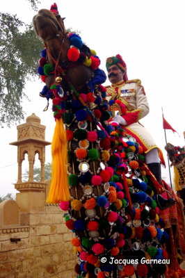Festival du dsert (Desert Festival), Jaisalmer, Rajasthan_IMGP5712.JPG