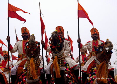 Festival du dsert (Desert Festival), Jaisalmer, Rajasthan_IMGP5713.JPG