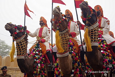 Festival du dsert (Desert Festival), Jaisalmer, Rajasthan_IMGP5718.JPG