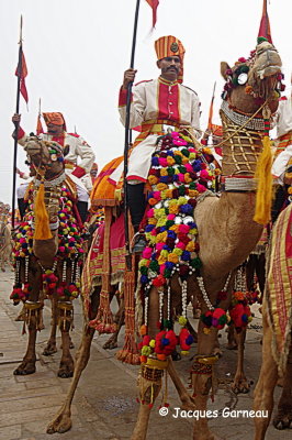 Festival du dsert (Desert Festival), Jaisalmer, Rajasthan_IMGP5724.JPG