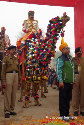 Festival du dsert (Desert Festival), Jaisalmer, Rajasthan_IMGP5761.JPG