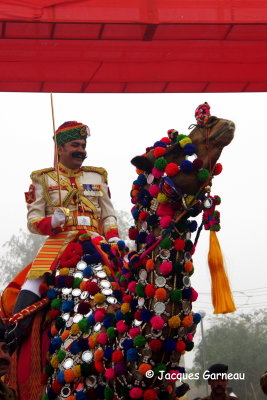 Festival du dsert (Desert Festival), Jaisalmer, Rajasthan_IMGP5763.JPG